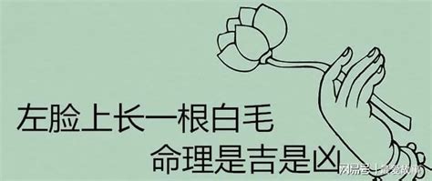 臉上長一根白毛|為啥身上會長出一兩根特別長的毛毛？是長壽聰明招財。